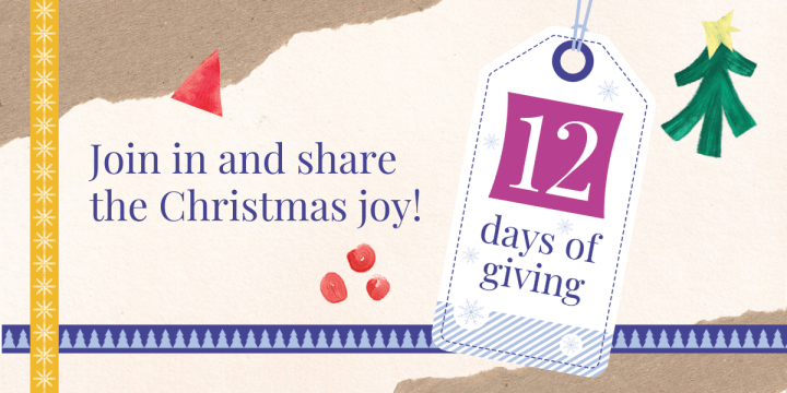 Christmas 12 days of giving