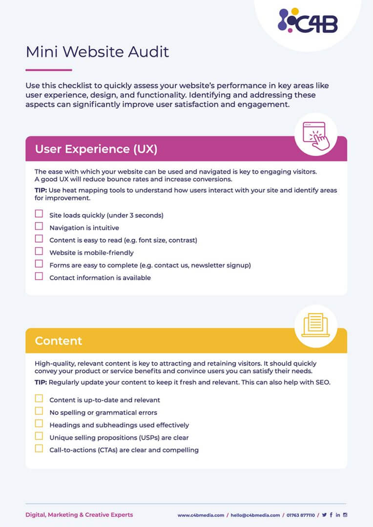 Mini Website Audit Form